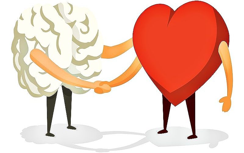 398401683 875564080594838 6470630666193374030 n 800x500