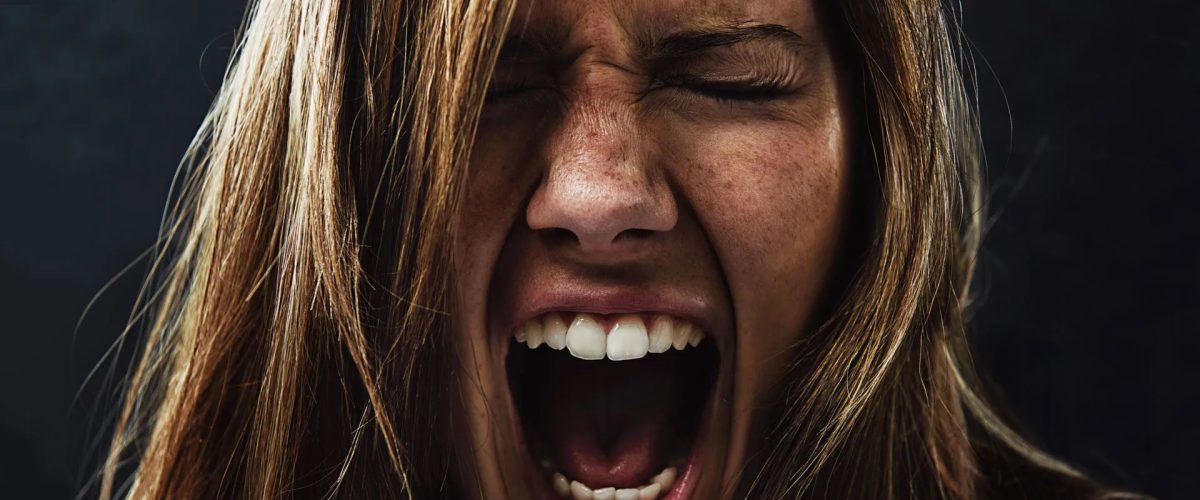 398422694 876508450500401 2386125132769977140 n 1200x500